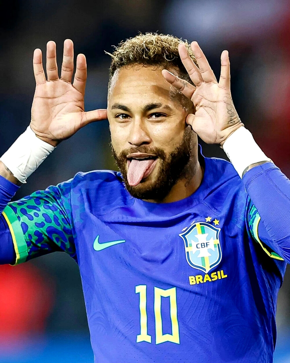 失去了最可 失去了最可