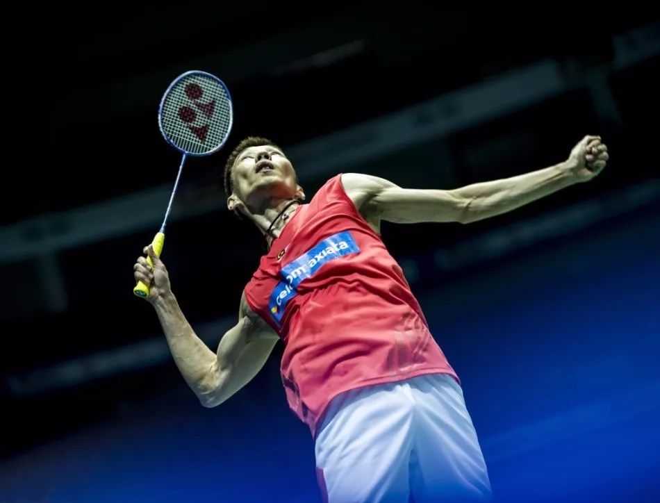 的完美结合 的完美结合